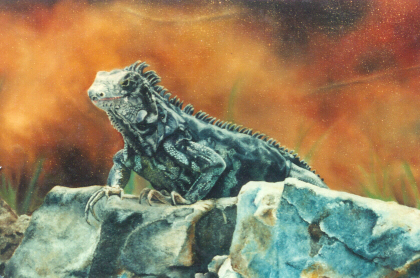 Iguana II