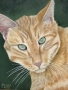 Cat Portrait (oil)